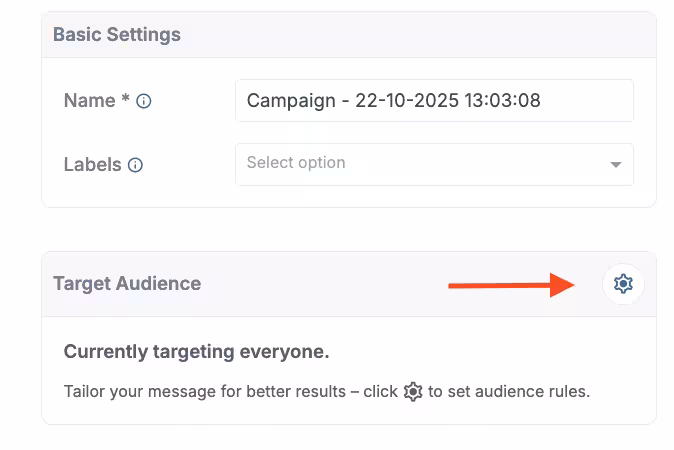 Campaigns Target Audience