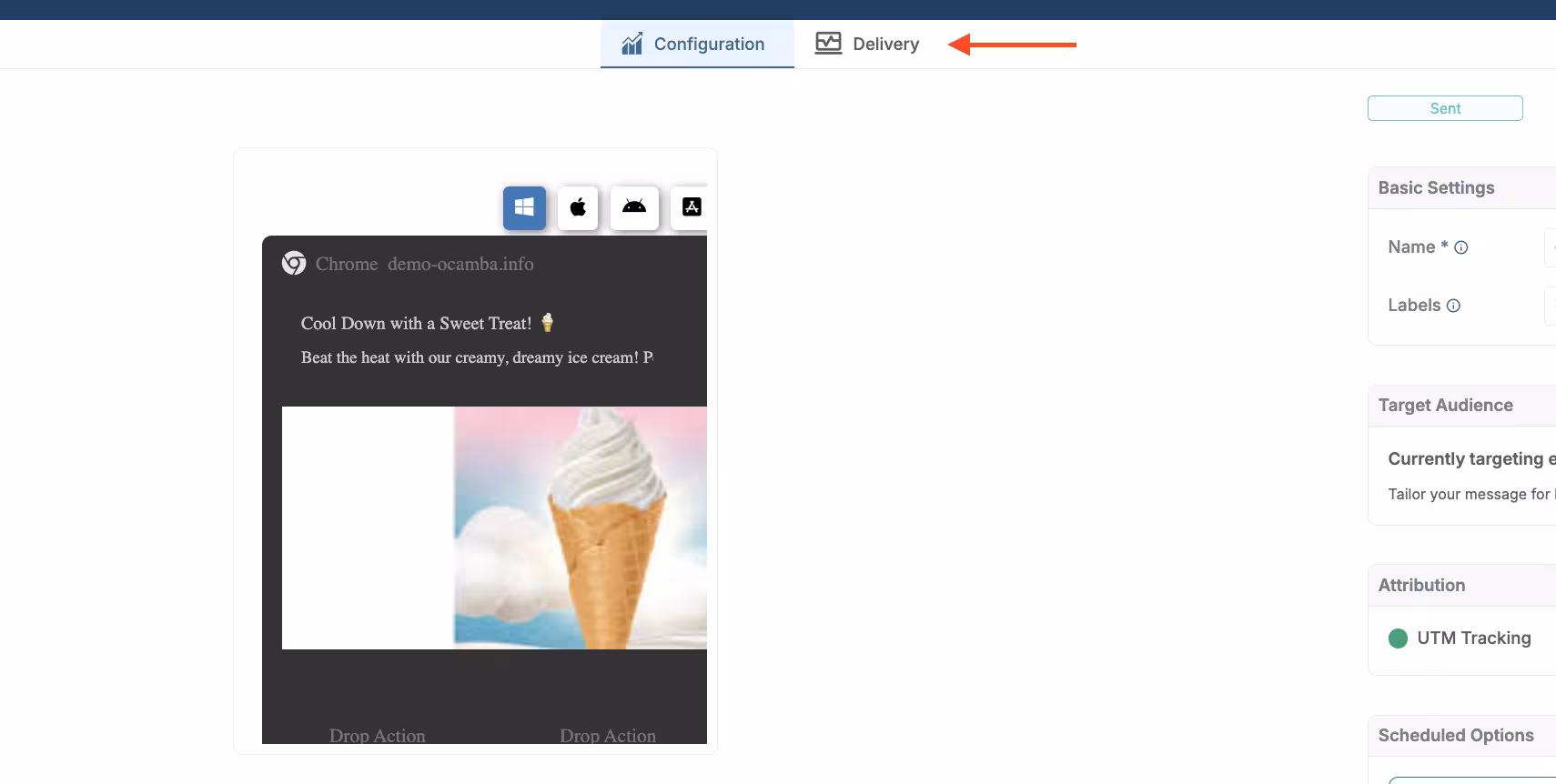 View Campaign Delivery